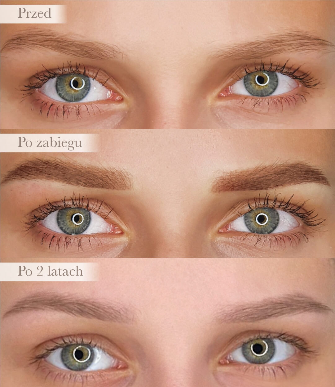 Jak wyglądają brwi permanentne po dwóch latach od zabiegu Absolutely Karolina Szczepańska