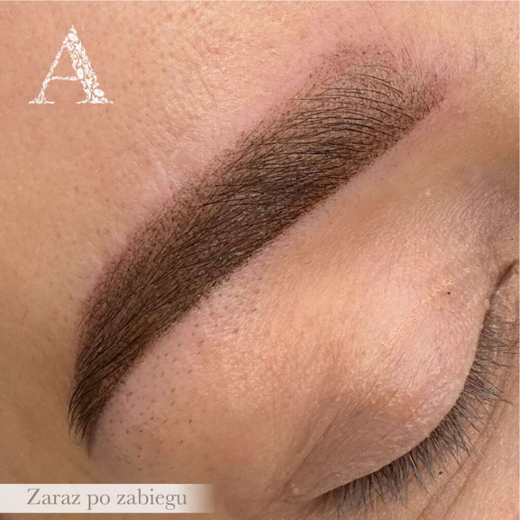 zbliżenie na świeży makijaż permanentny brwi Absolutely Szczepańska Warszawa